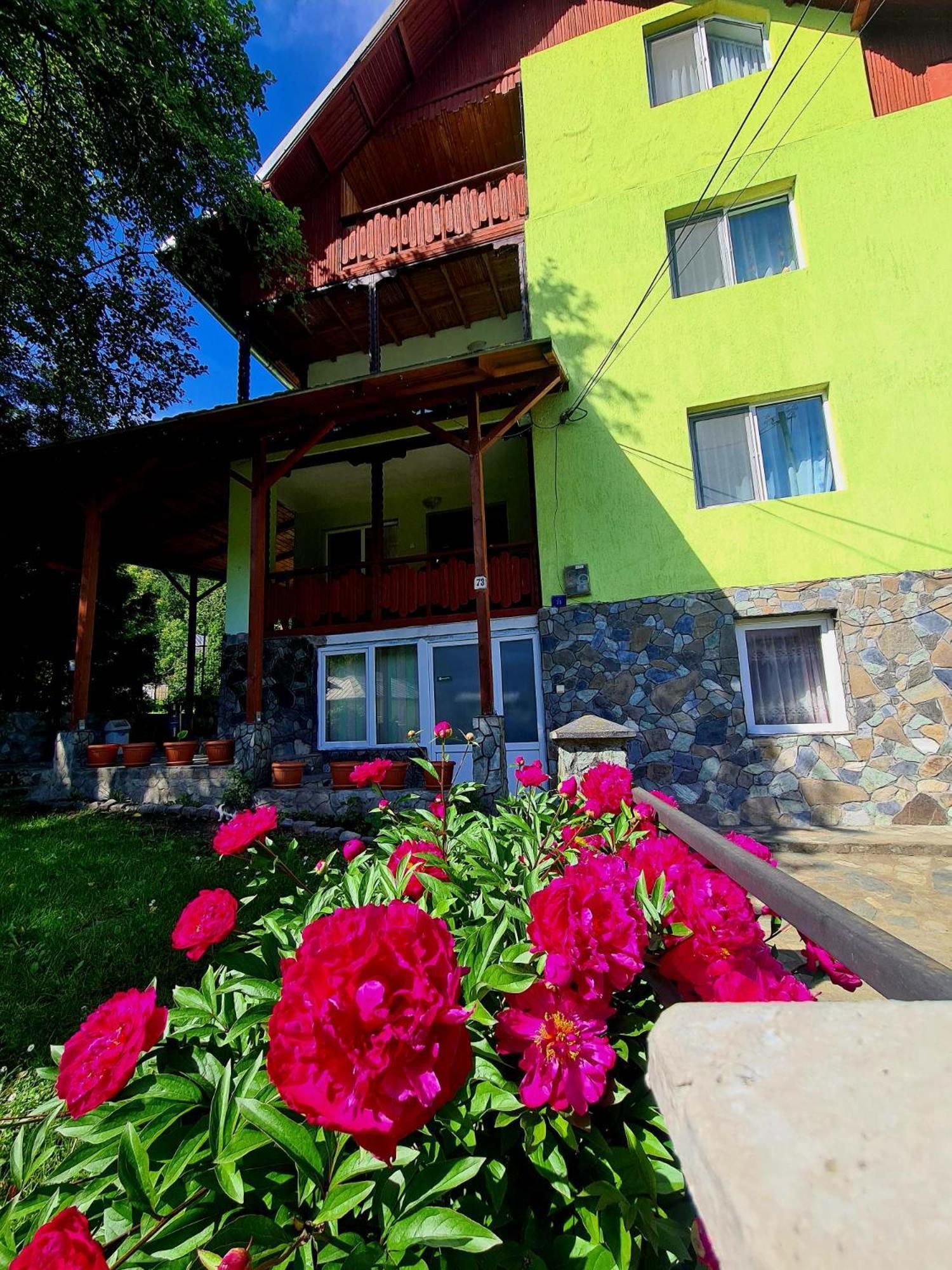 Vila Giulia Voineasa Gasthof *